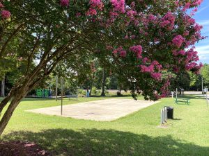 Park with tree and flowers