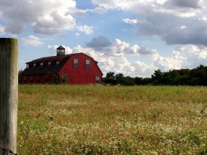 red barn