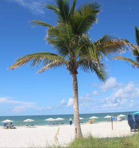 Archibald Memorial Beach Park