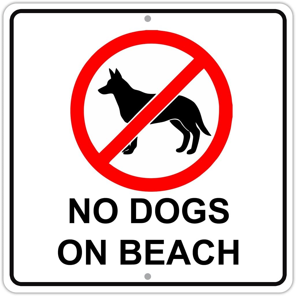 what beaches are dogs allowed