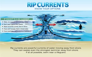 Rip Currents