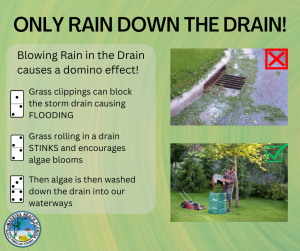 ONLY RAIN DOWN THE DRAIN!