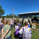 Macadamia Nut Farm