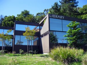 Exterior view of the Corte Madera Library, a modern building design with trees and grass around it.