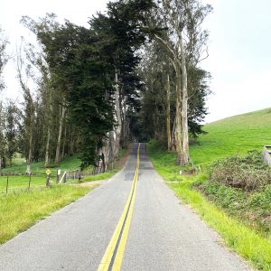 west marin road targeted for rubber-based paving project