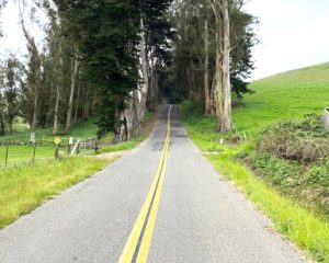 West Marin road