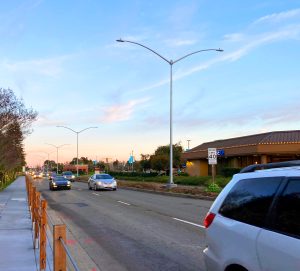 Example of street light poles on the SFD median that will be replaced by decorative street light poles