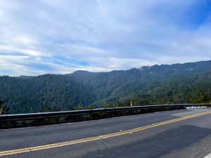 A road, Panoramic Highway, near Mount Tamalpais in Marin County.