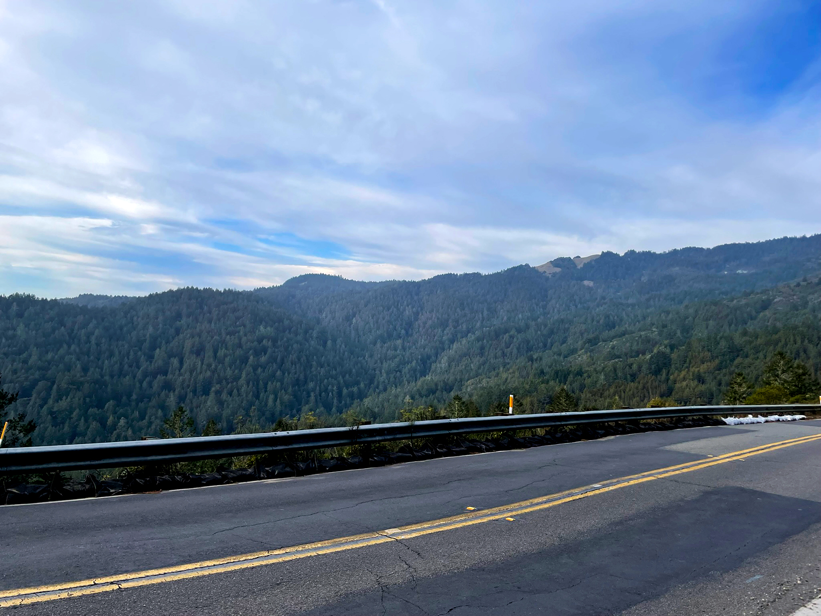A road, Panoramic Highway, near Mount Tamalpais in Marin County.