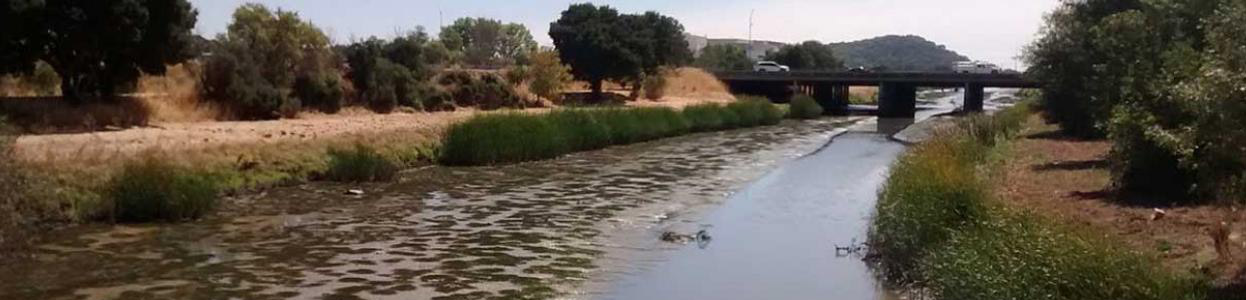 Novato Creek