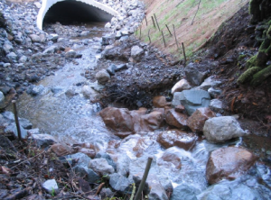 stream with rocks