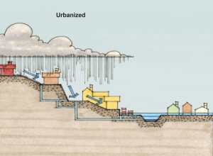 Diagram showing how rainwater runs off urban landscapes