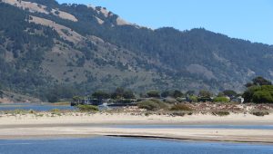 Blue lagoon waters and a vegetated sand dune are backed by steep scrub and forested ridge slopes