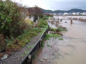 existing levee