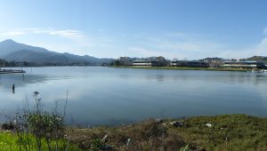 Water's edge view of Corte Madera Creek. Elevated house on stilts in the left side of frame, 101 bridge and office park on right side of frame. Mount Tamalpais sits in the distance.