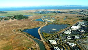 Aerial view of built infrastructure and managed ponds along the banks of lower Novato Creek.