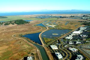 Aerial view of built infrastructure and managed ponds along the banks of lower Novato Creek.