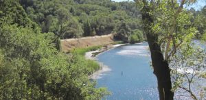 View of Phoenix Lake