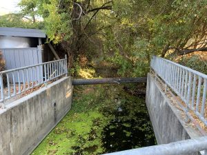 East Creek at Cecilia Way Crossing