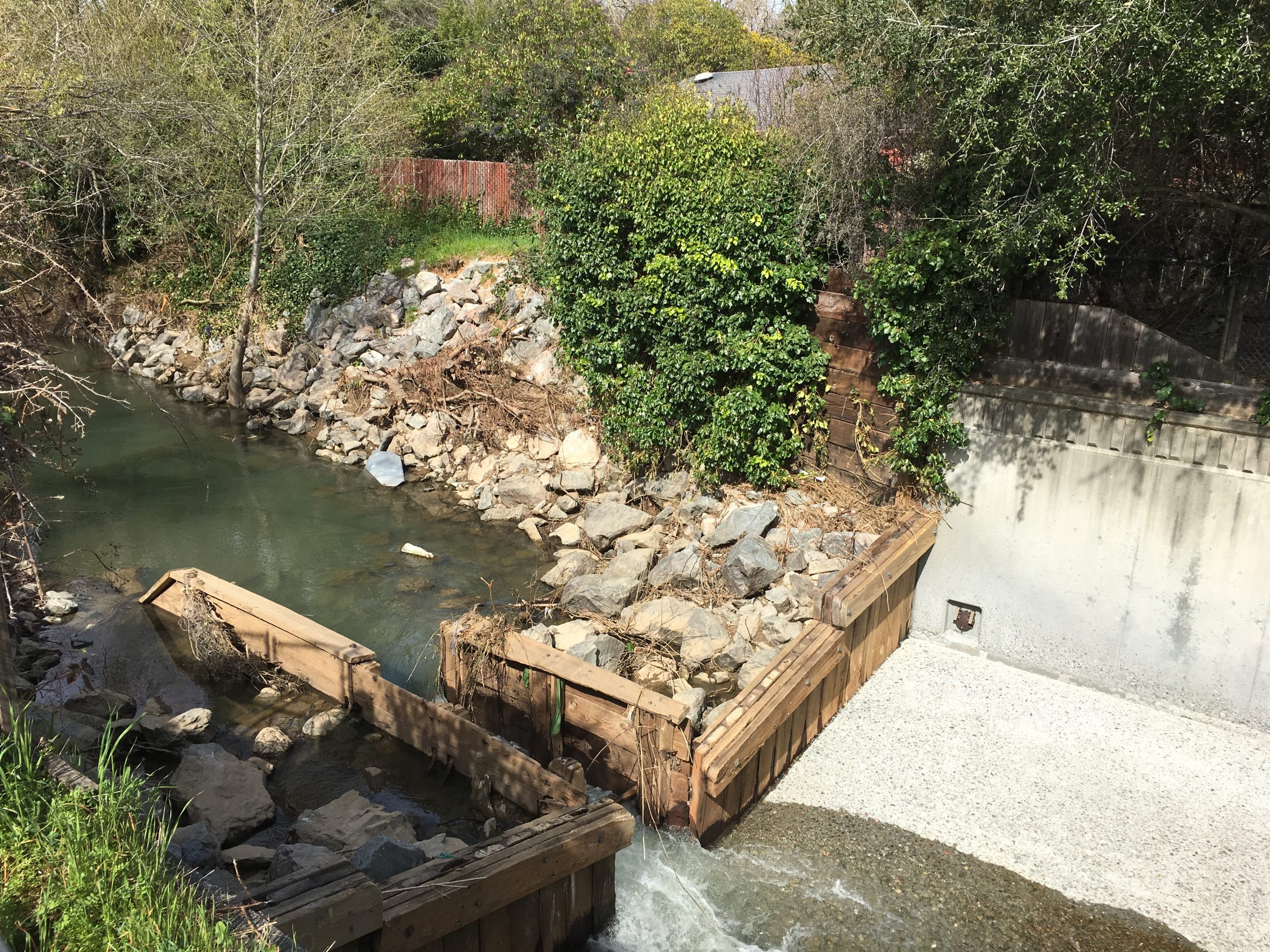 Wooden fish ladder constructed in Corte Madera Creek.