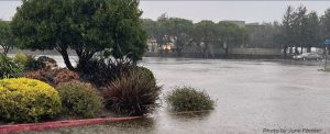 Street intersection in Marin City flooding during a strom.