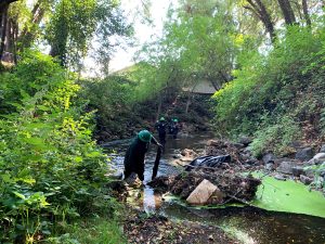 Work crew assisting DPW staff with debris clearing in Novato Creek.