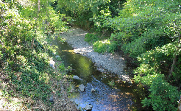 Aerial view of San Anselmo creek channel, showing gravel, low flow water, and vegetation.
