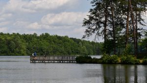 view of pier at Lake Michael Park