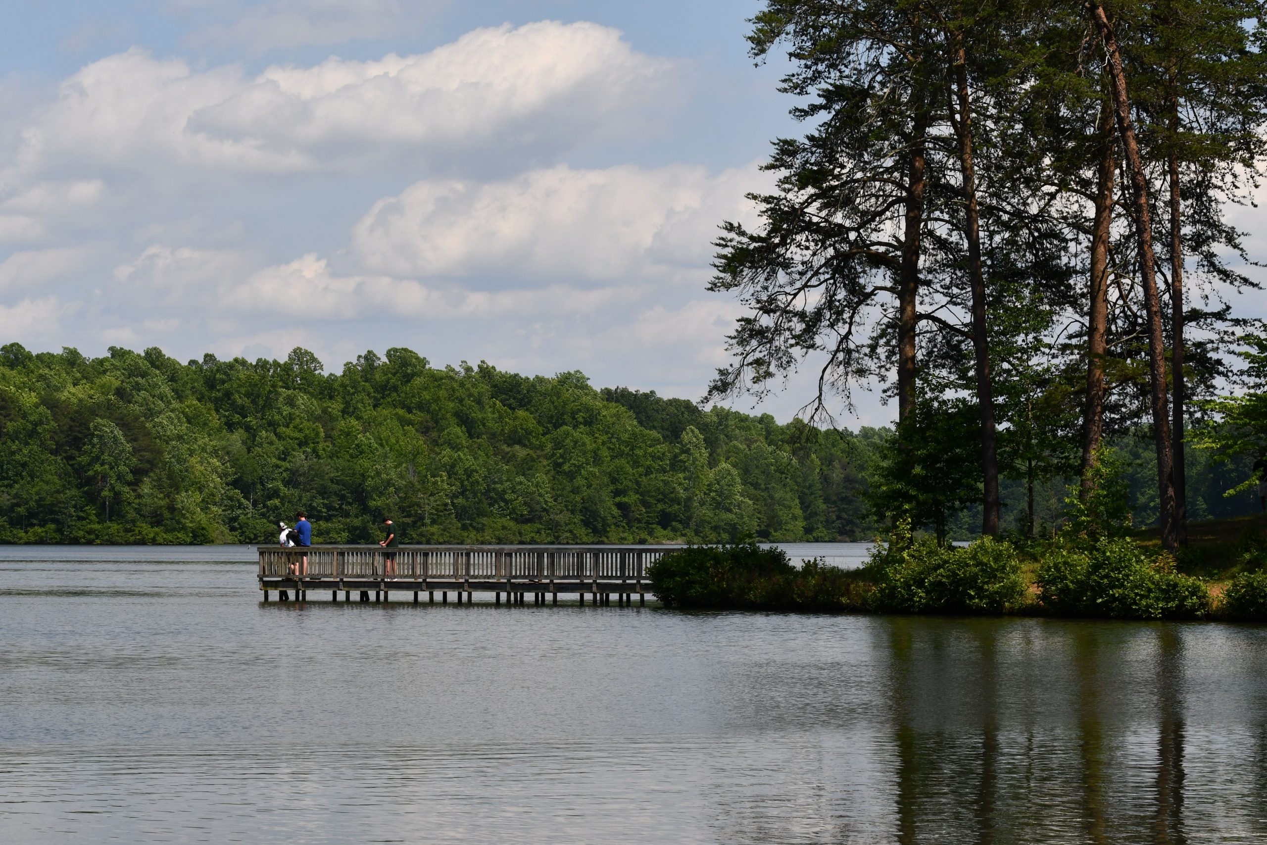 view of pier at Lake Michael Park