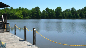 Zoom background of lake