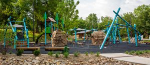 Large Playground by Pond in Sycamore Trails Park