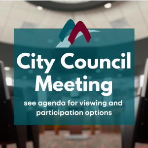 Council Meeting Announcement Flyer