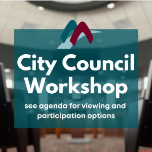 Council Workshop Announcement Flyer