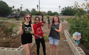 Community Garden Girl Scouts
