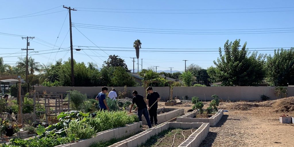 Community Garden Volunteers 1