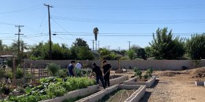 Community Garden Volunteers 1