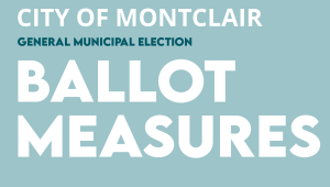 Ballot Measures