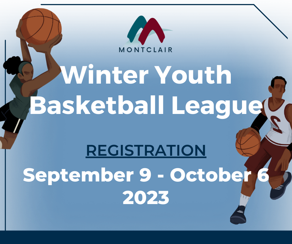 Youth Sports League and Clinic
