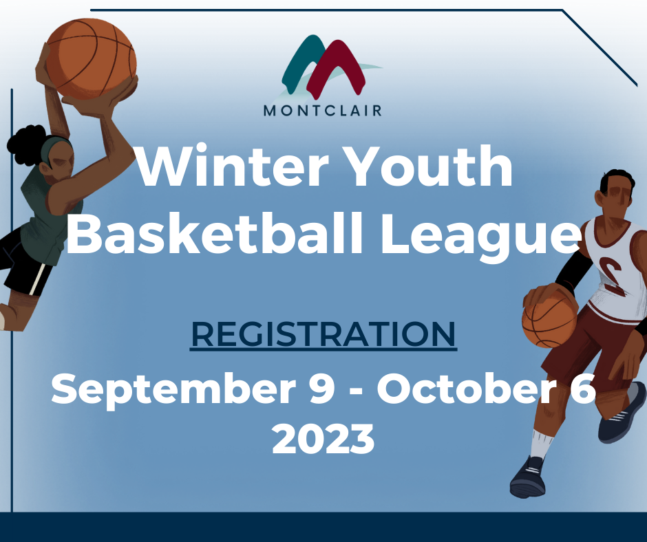 youth basketball league