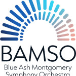 BAMSO Logo