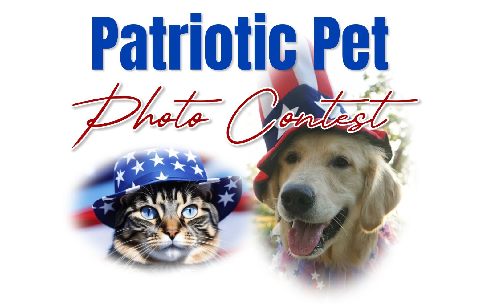 Patriotic Pet Photo Contest
