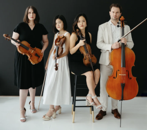 picture of musicians named StringSource