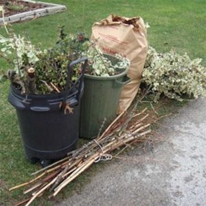 Yard Waste