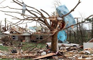 Debris tree