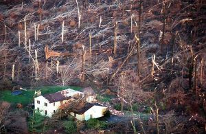 Storm Damage