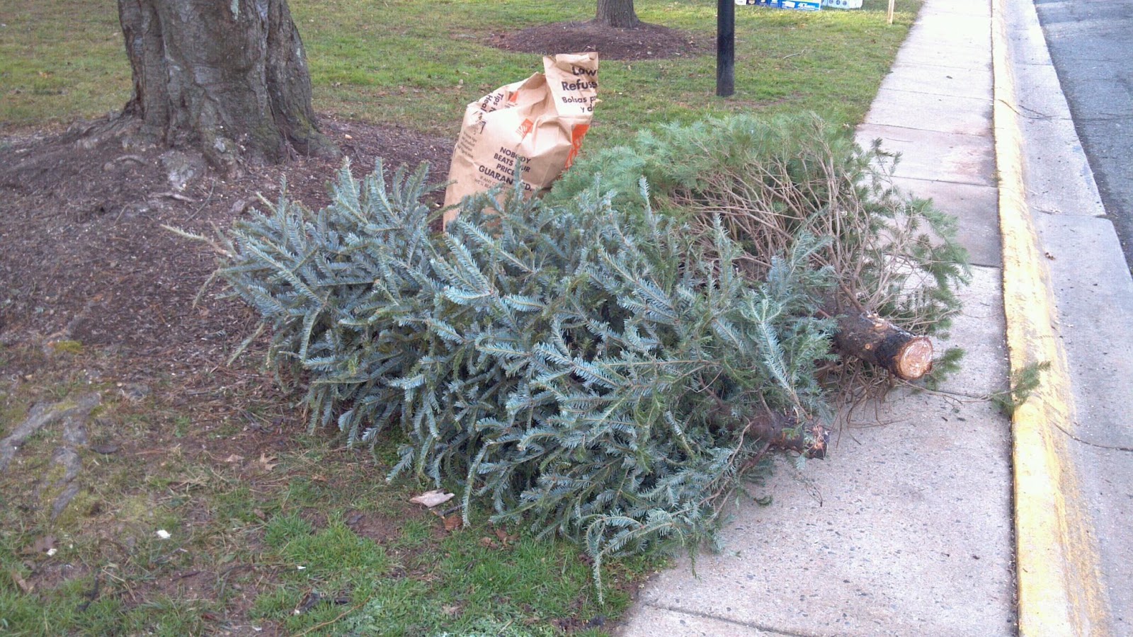 Holiday Greenery Recycle