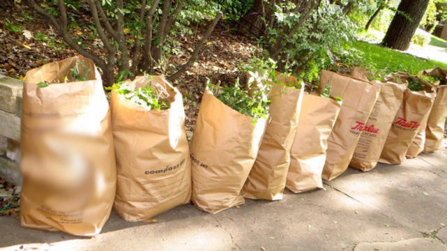 Where can I get paper bags for my yard waste in Charlotte?