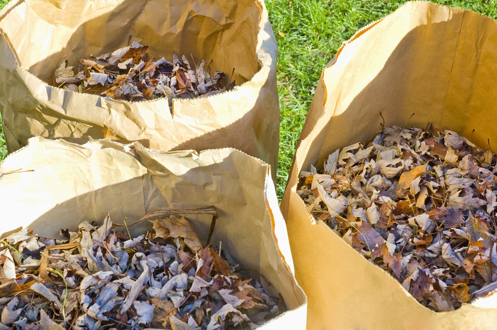 Yard bags with leaves