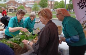 Spring Plant Swap