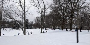 Montgomery Park Sledding